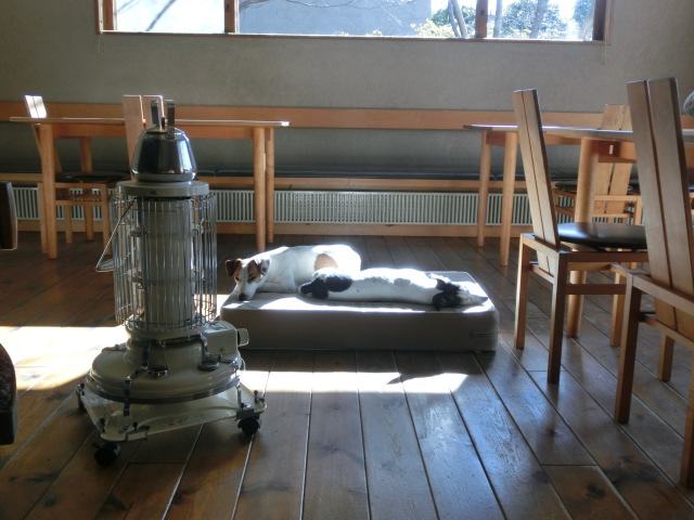 c0140260_1112335.jpg