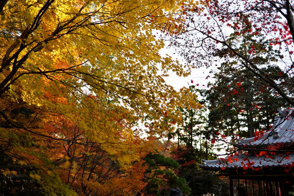 d0090161_14184193.jpg