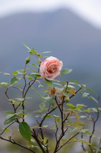 c0186463_011341.jpg