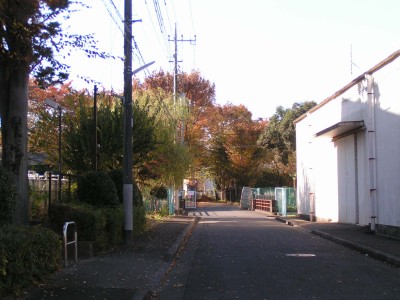 c0112172_2317870.jpg