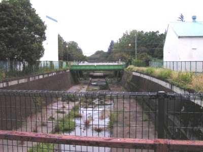 c0112172_23205528.jpg