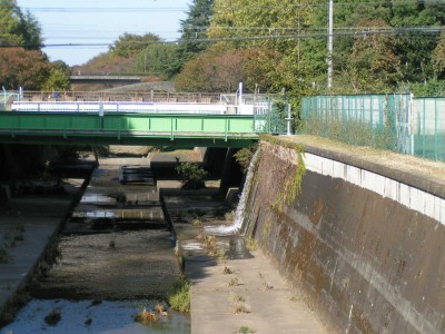 c0112172_2321540.jpg