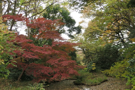 e0292172_20402397.jpg