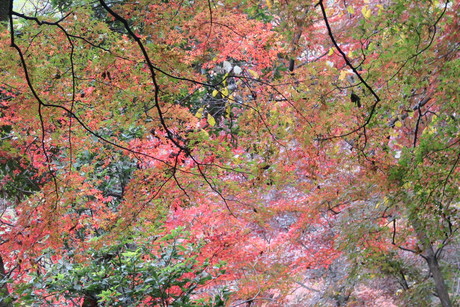 e0292172_2048848.jpg