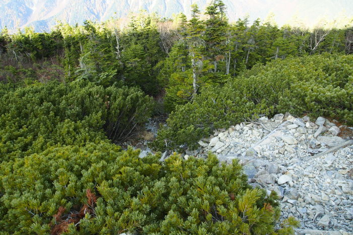 e0307372_14415016.jpg