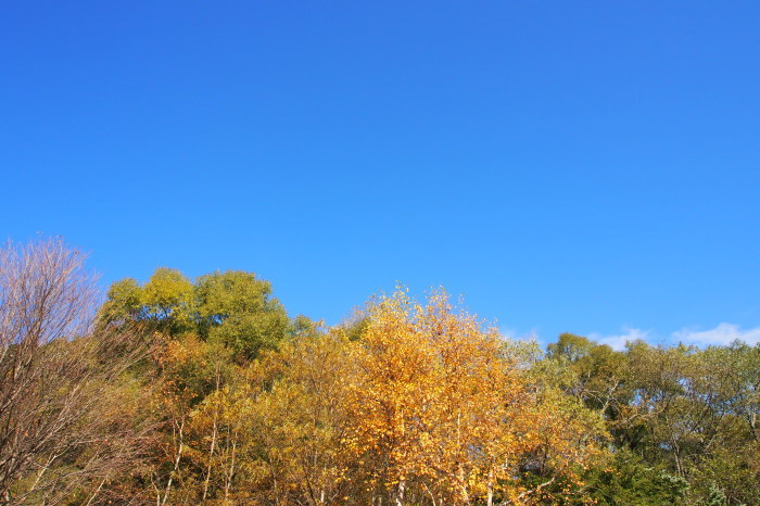 e0307372_14481518.jpg