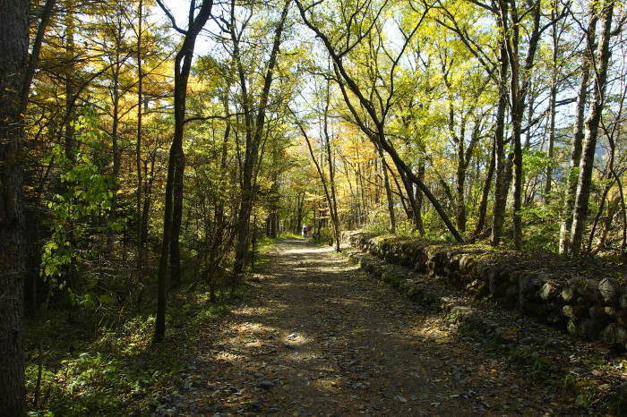 e0307372_15173517.jpg