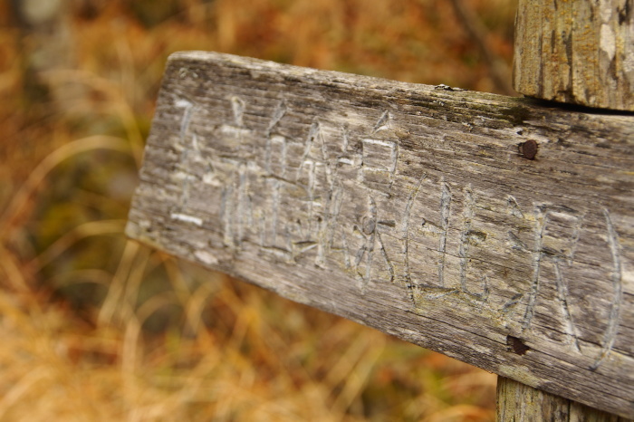 e0307372_21174711.jpg