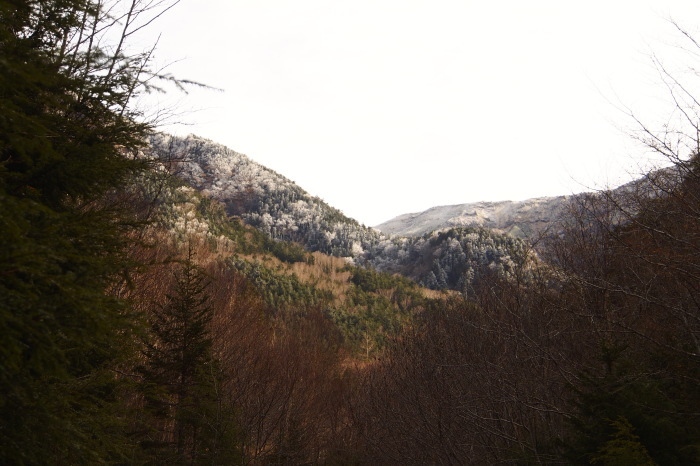 e0307372_21274000.jpg