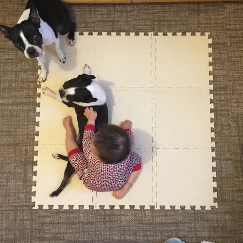 d0041575_21343891.jpeg