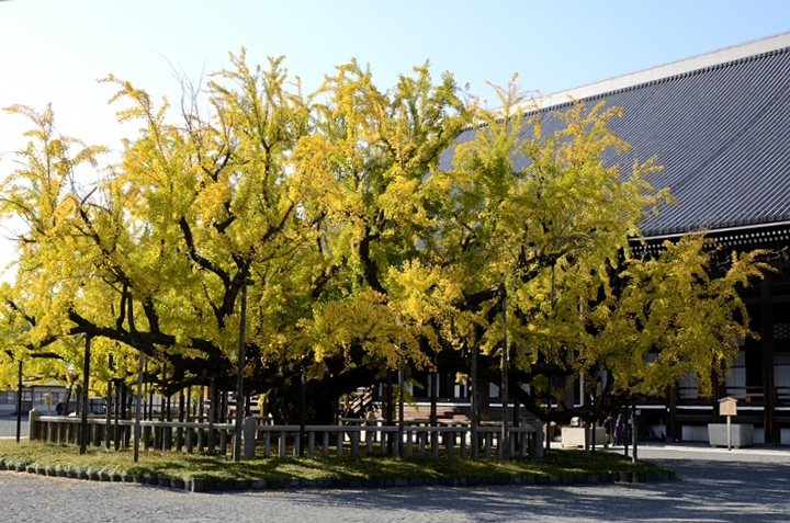 f0108478_20292362.jpg