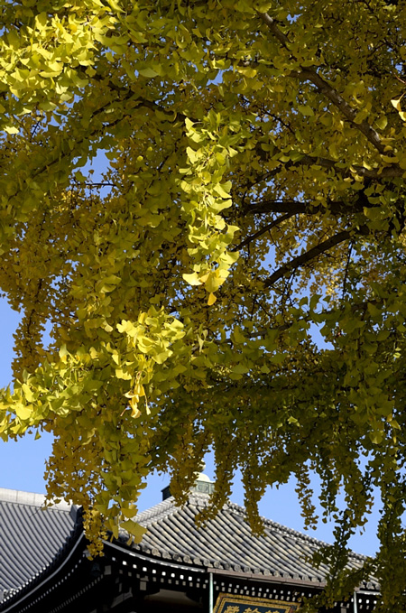 f0108478_2038232.jpg