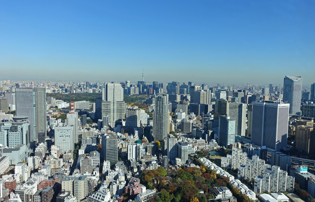 e0156083_949304.jpg