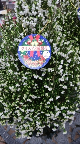 c0348784_15295066.jpg