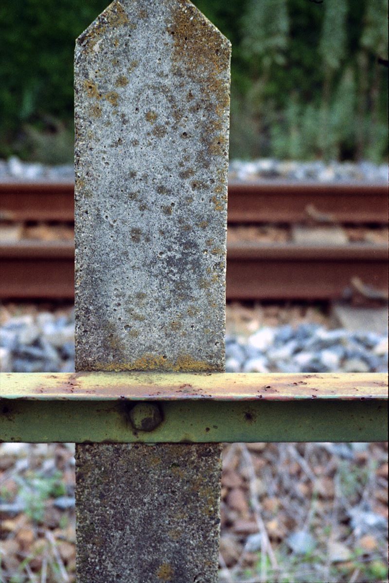 f0159784_1262816.jpg