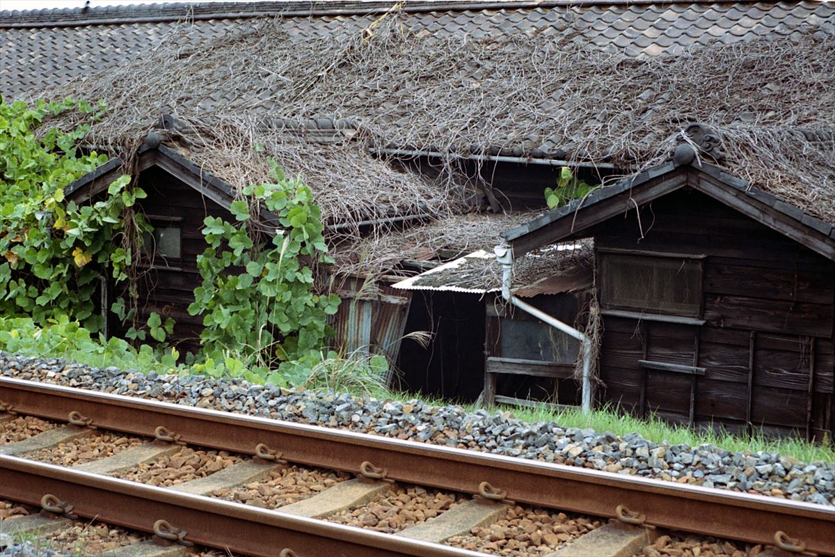 f0159784_127245.jpg