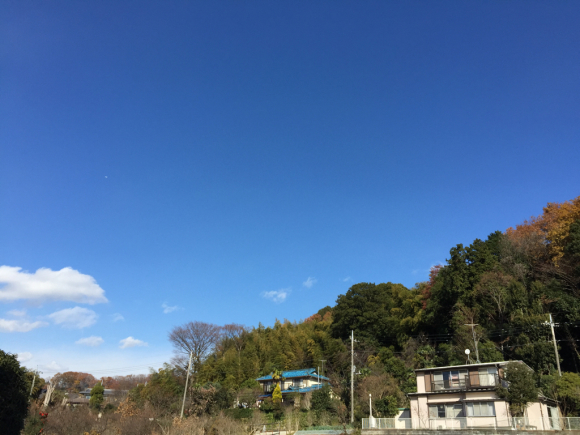 d0135694_12425389.jpg