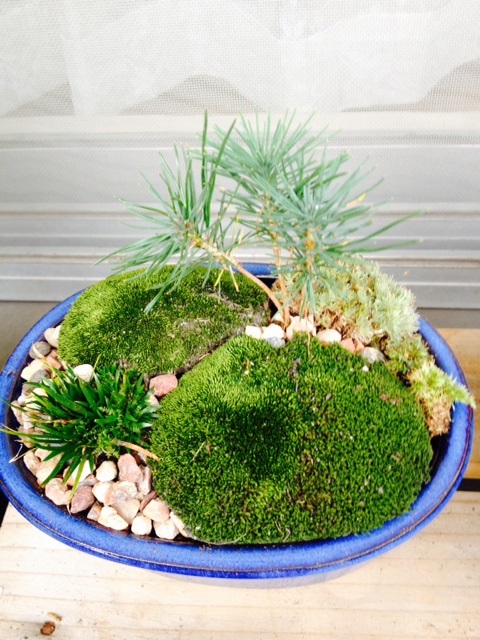 f0204295_221029.jpg