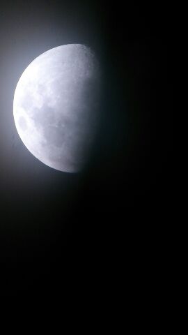 b0039898_15462781.jpg