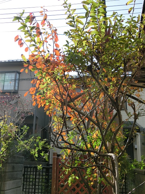e0234004_20144313.jpg