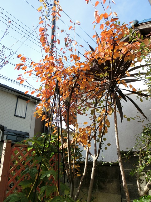 e0234004_20145313.jpg