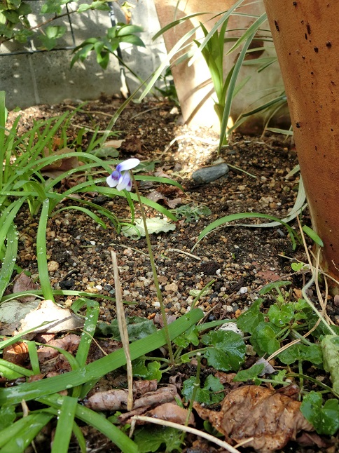 e0234004_20152051.jpg
