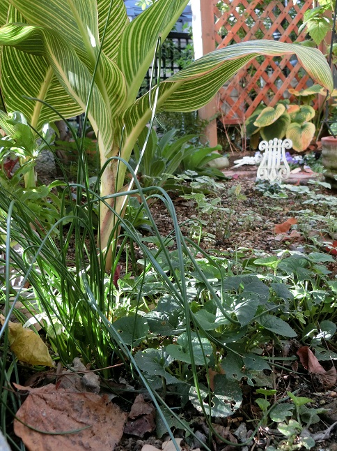 e0234004_20153138.jpg