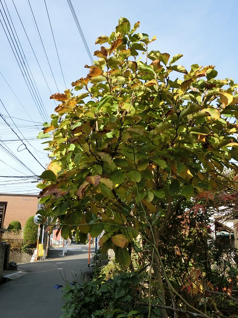 e0234004_201533.jpg