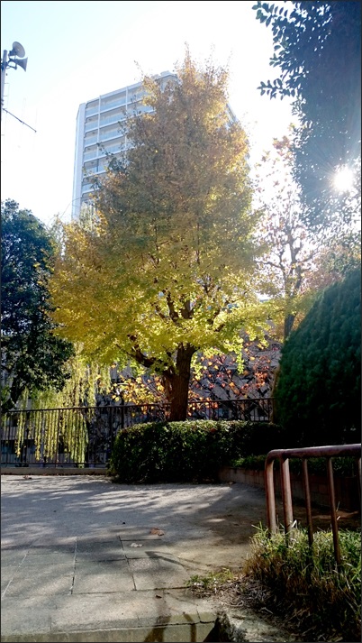 c0157412_2124365.jpg