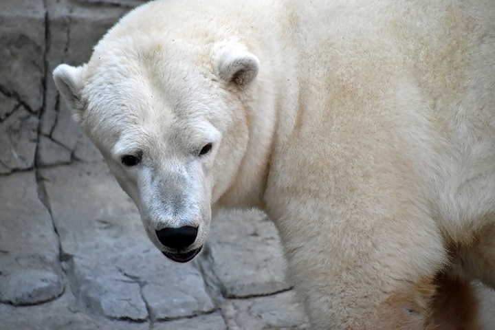a0151913_23352412.jpg