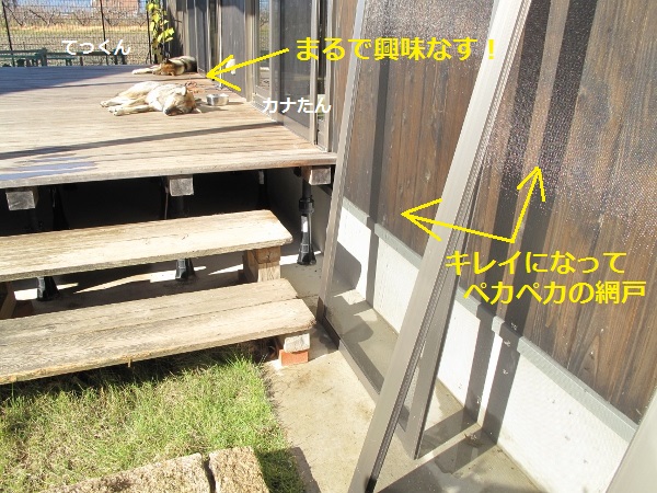 f0143123_13164889.jpg