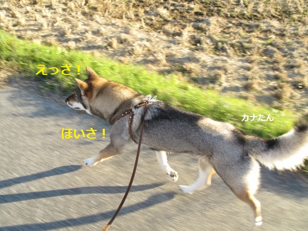 f0143123_2155488.jpg