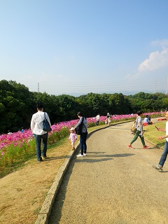 b0102728_2224124.jpg