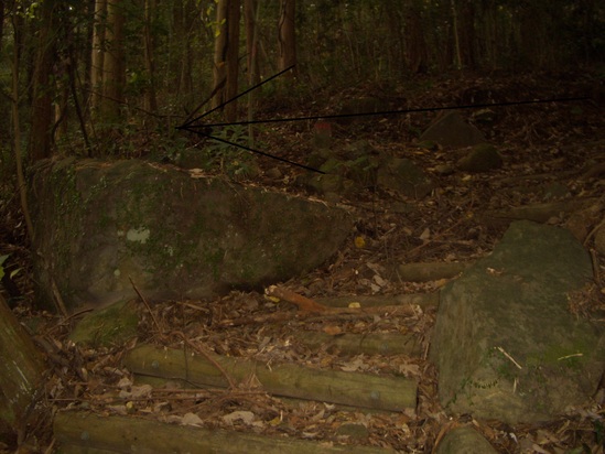 b0222530_631274.jpg