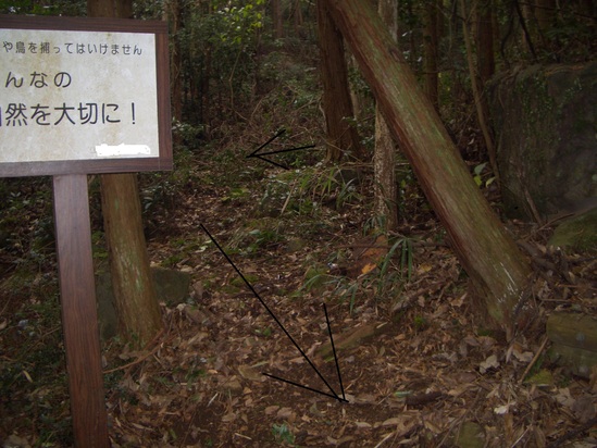 b0222530_632444.jpg
