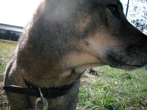 b0143231_21145025.jpg