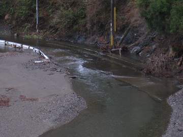c0077338_8293396.jpg