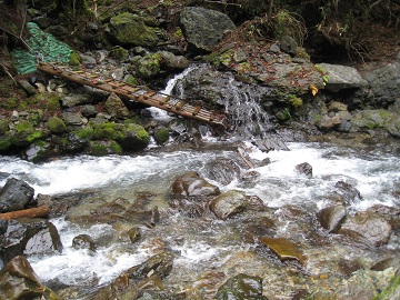 c0077338_8301483.jpg