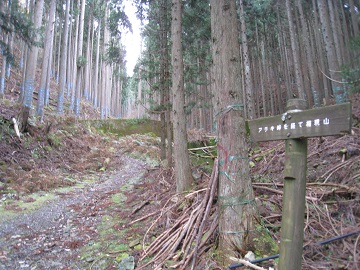 c0077338_8303818.jpg