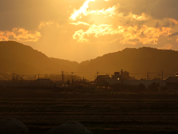 f0214649_4164236.jpg
