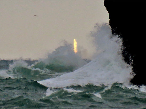 f0214649_48773.jpg