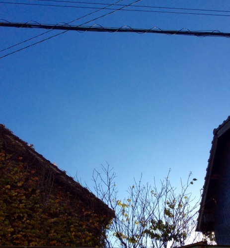 c0340351_16303780.jpeg