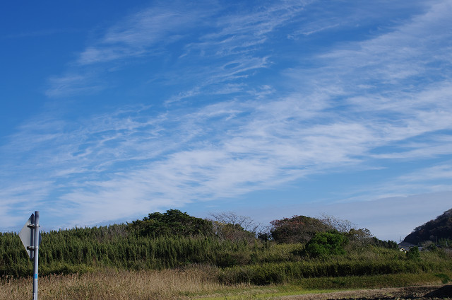 c0080357_2324365.jpg
