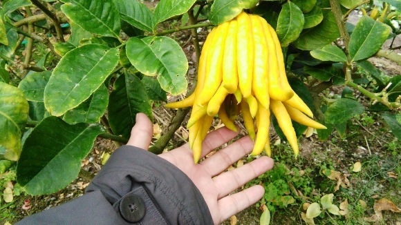 f0201157_10504140.jpg