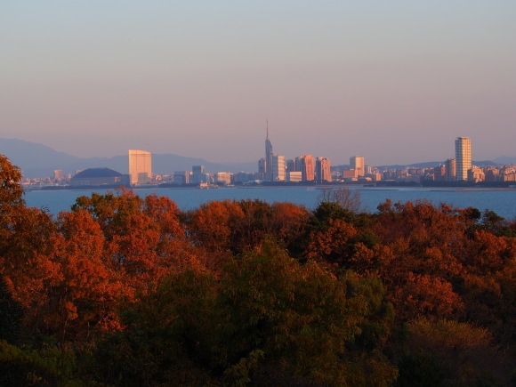 f0201157_17293210.jpg