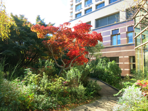 e0208058_23243499.jpg