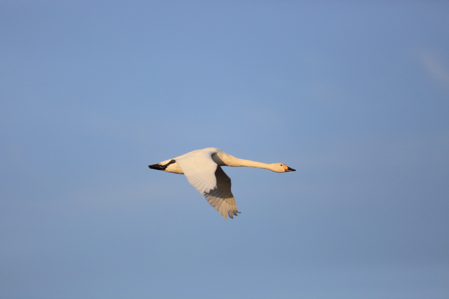 f0230458_2101573.jpg