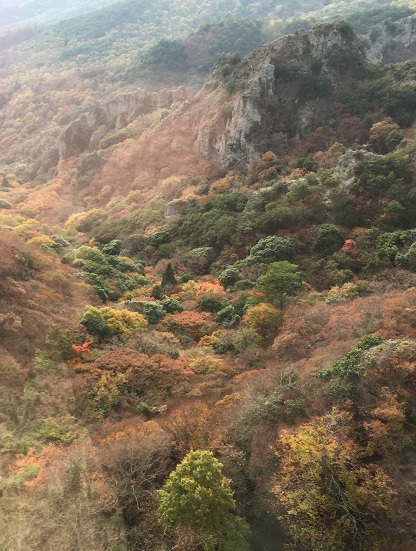 b0186959_10512677.jpg