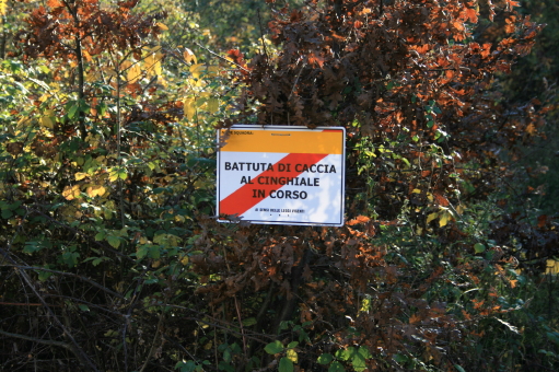 f0077159_1524636.jpg