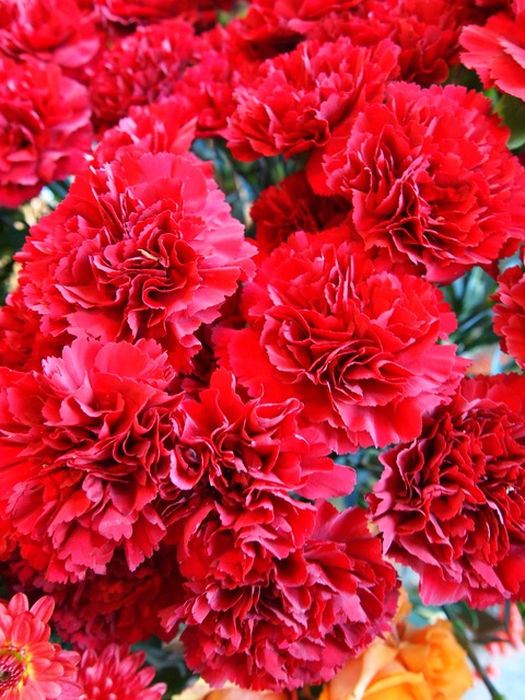 c0059063_1742897.jpg